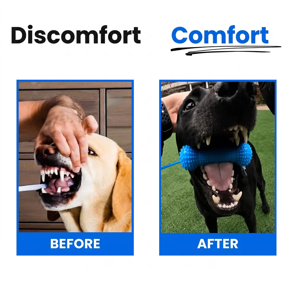 Myblexy™ — A Fresher Breath Routine for Dogs
