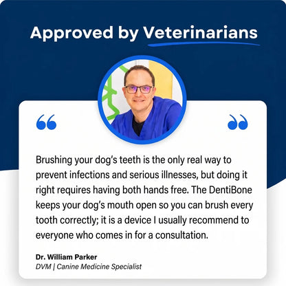 Myblexy™ — A Fresher Breath Routine for Dogs