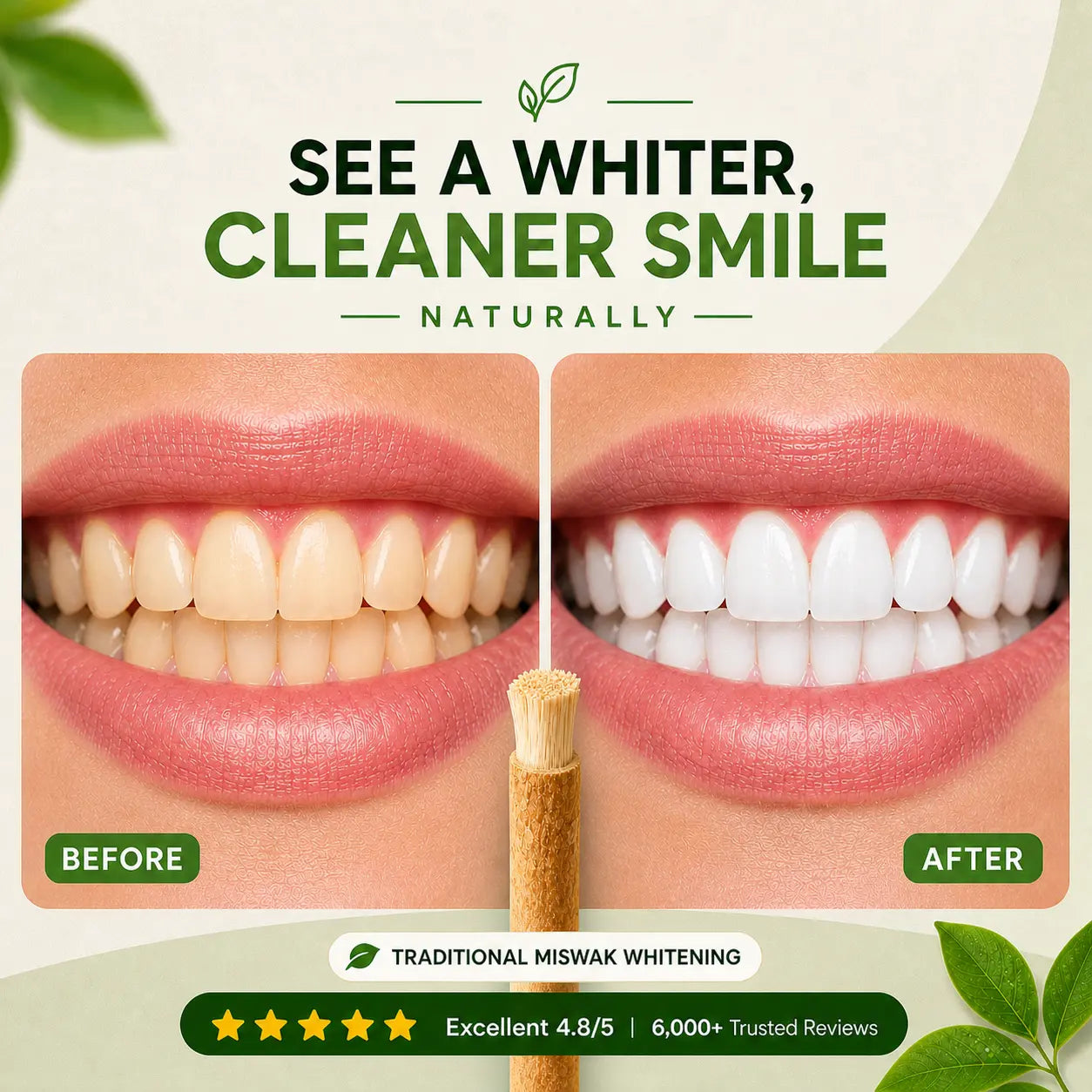 Natural Miswak Sticks | Fresh Breath & Healthy Smile