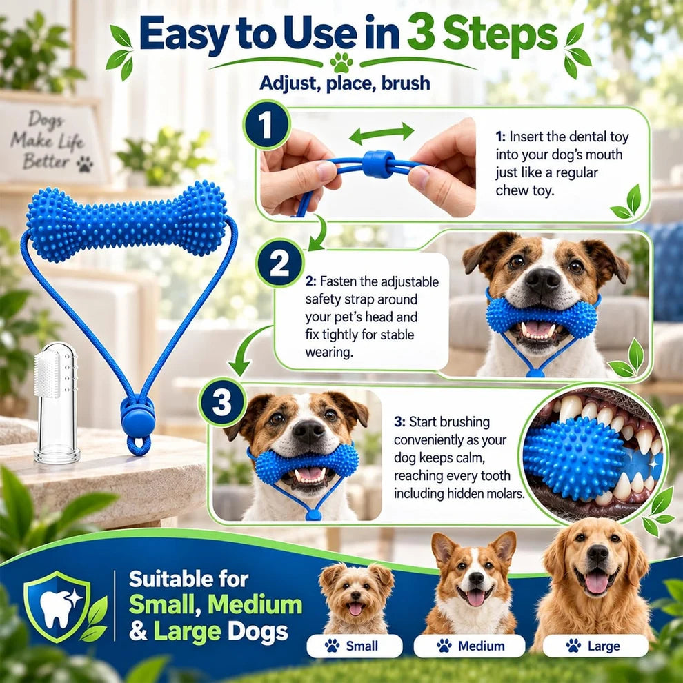 Myblexy™ — A Fresher Breath Routine for Dogs