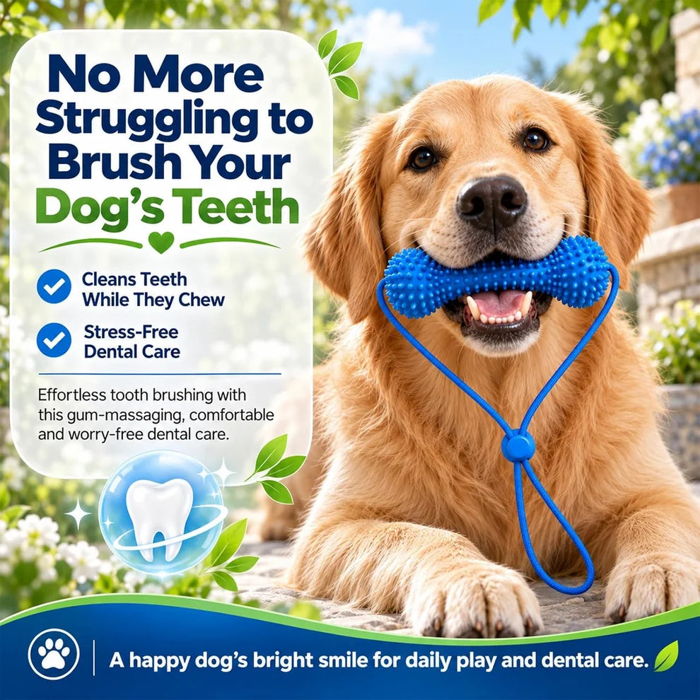 Myblexy™ — A Fresher Breath Routine for Dogs