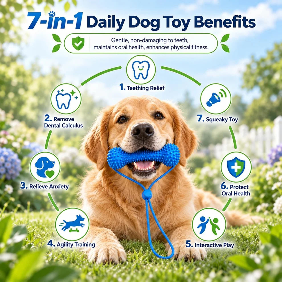 Myblexy™ — A Fresher Breath Routine for Dogs