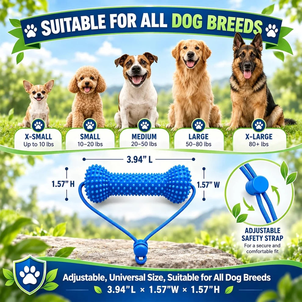 Myblexy™ — A Fresher Breath Routine for Dogs