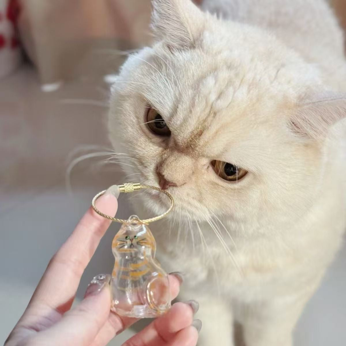 Cat and Dog Hair Keepsake Capsule Pendant Keychain