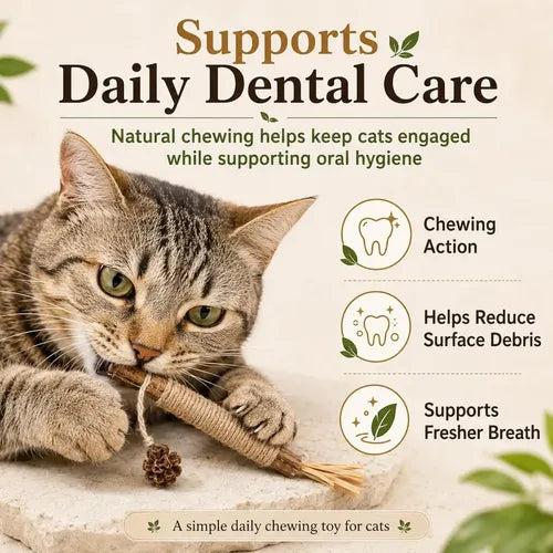 Natural Silvervine Dental Sticks