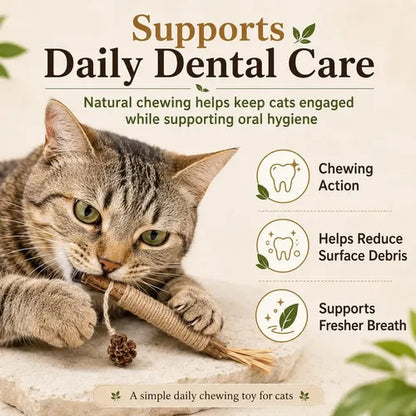 Natural Silvervine Dental Sticks