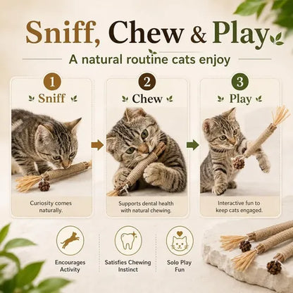 Natural Silvervine Dental Sticks