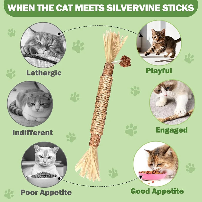 Natural Silvervine Dental Sticks
