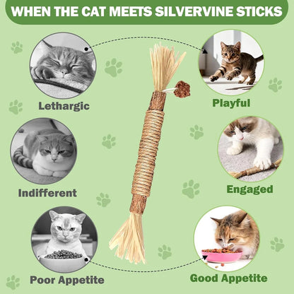 Natural Silvervine Dental Sticks