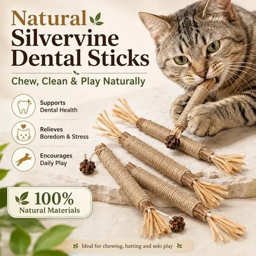 Natural Silvervine Dental Sticks