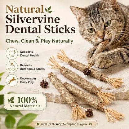 Natural Silvervine Dental Sticks