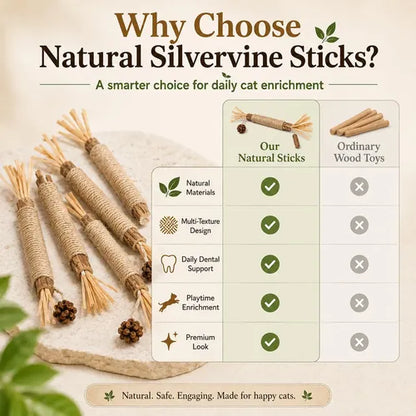 Natural Silvervine Dental Sticks