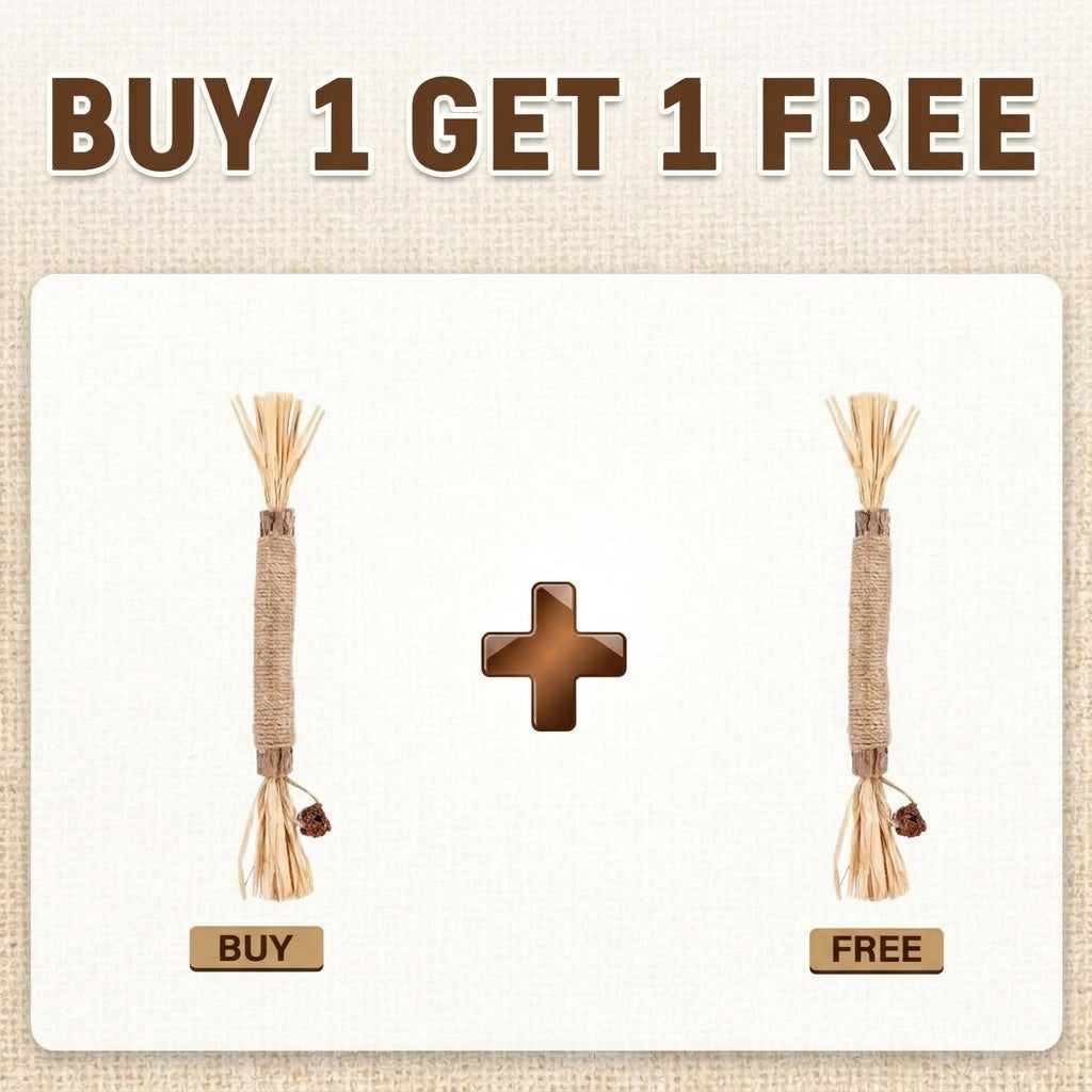Natural Silvervine Dental Sticks