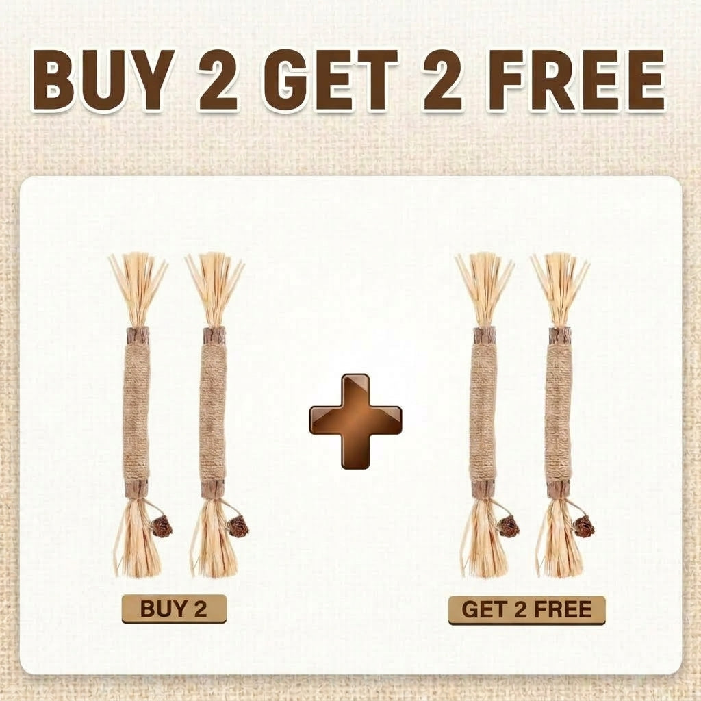 Natural Silvervine Dental Sticks