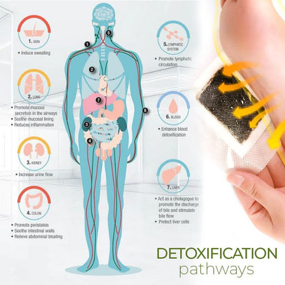 DetoxPlus Lymphatic Drainage Foot Pads