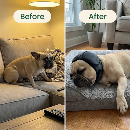 Calming Ear Wrap for Dogs | Anxiety & Noise Relief