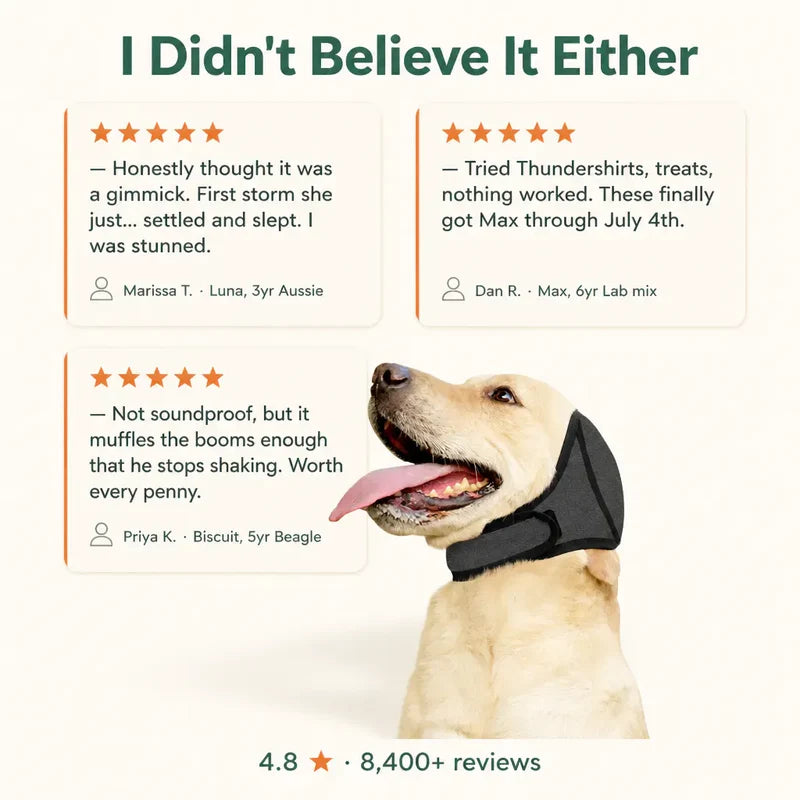 Calming Ear Wrap for Dogs | Anxiety & Noise Relief